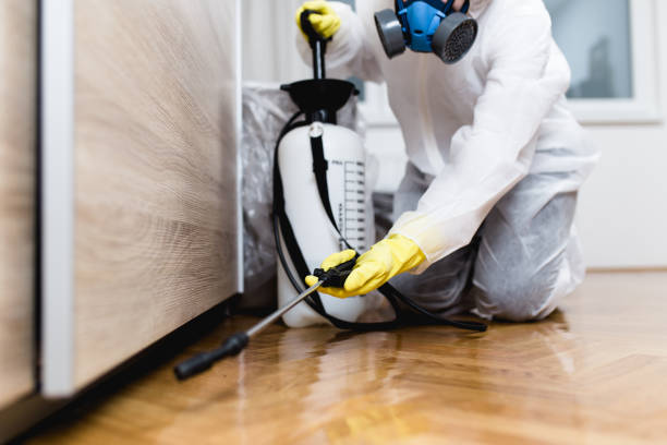 Best Ant Control Services  in South Bend, IN