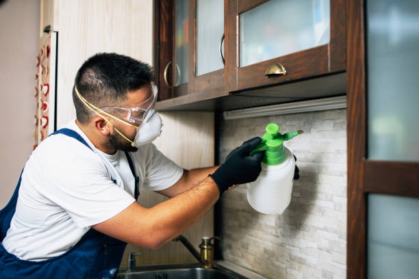 Best Commercial Pest Control Services  in South Bend, IN