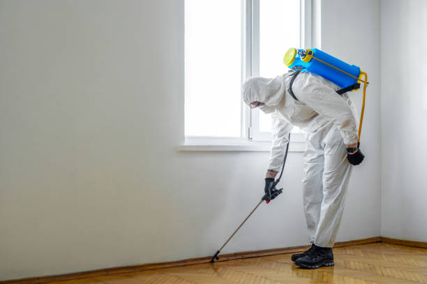 Best Flea Control Services  in South Bend, IN