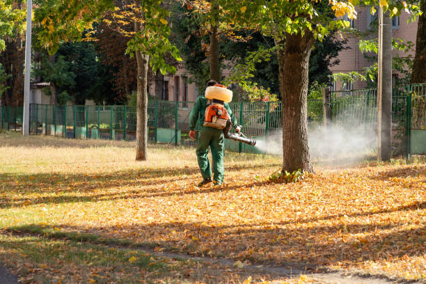 Wasp Removal Services in South Bend, IN