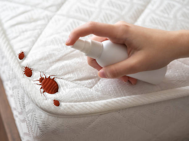 Best Commercial Pest Control Services  in South Bend, IN