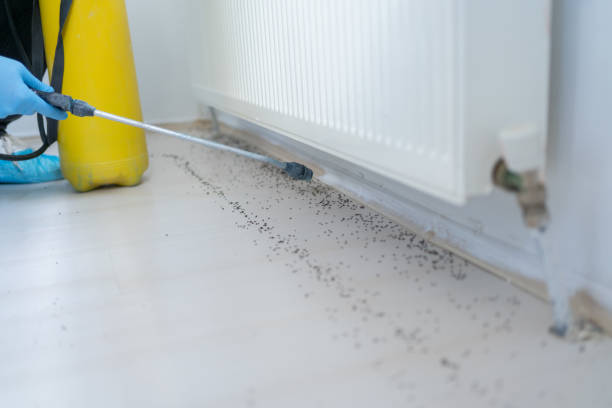 Best Residential Pest Control  in South Bend, IN