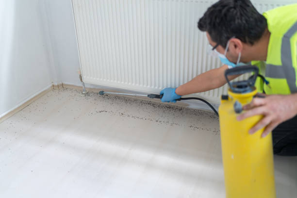 Trusted South Bend, IN Pest Control Experts